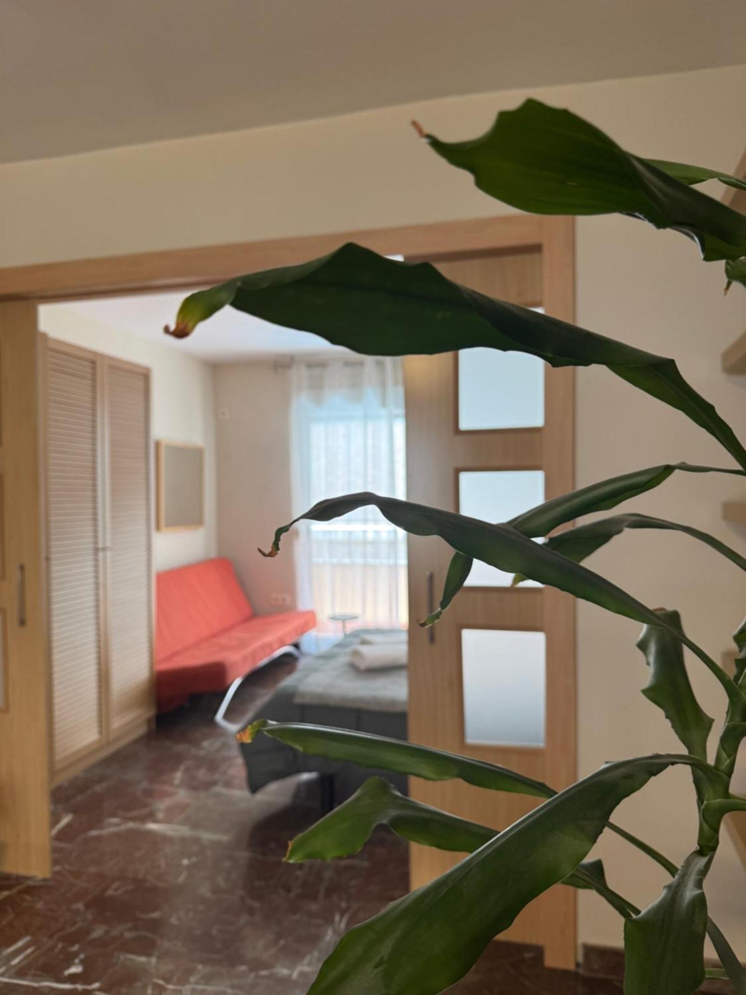 Constitucion Suite Confort D 그라나다 외부 사진